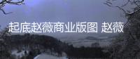 起底赵薇商业版图 赵薇黄有龙被禁入市场5年是怎么回事